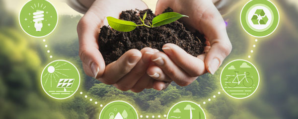 audit environnemental